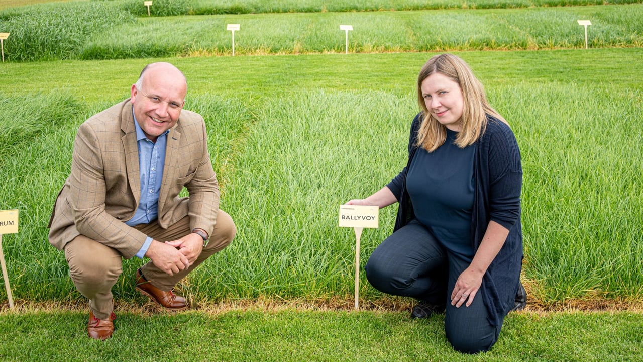David Linton (Barenbrug regional sales manager NI) and Gillian Young (AFBI Forage Grass Breeder) at the forage grass breeding plots at AFBI, Loughgall.