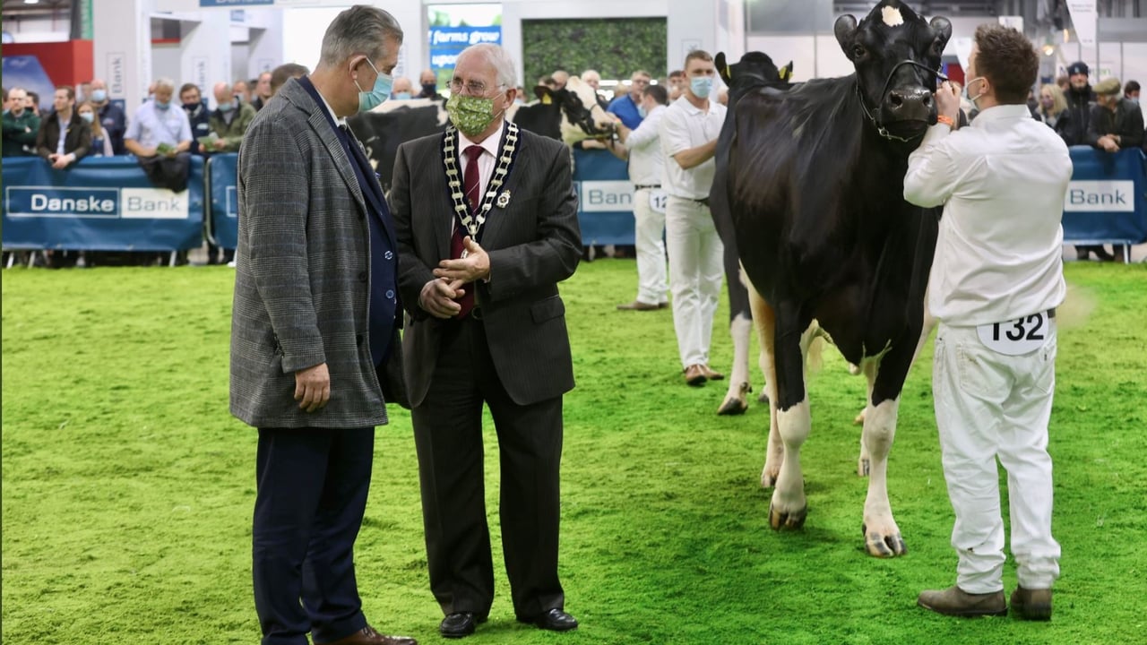 Direct payments to NI agricultural shows 'may not' be an option - Poots