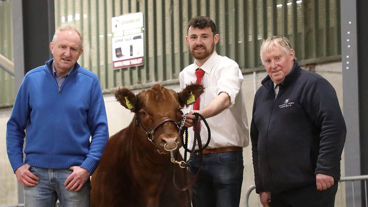 Pictured: John and Shane Murphy with auctioneer Tom Cox