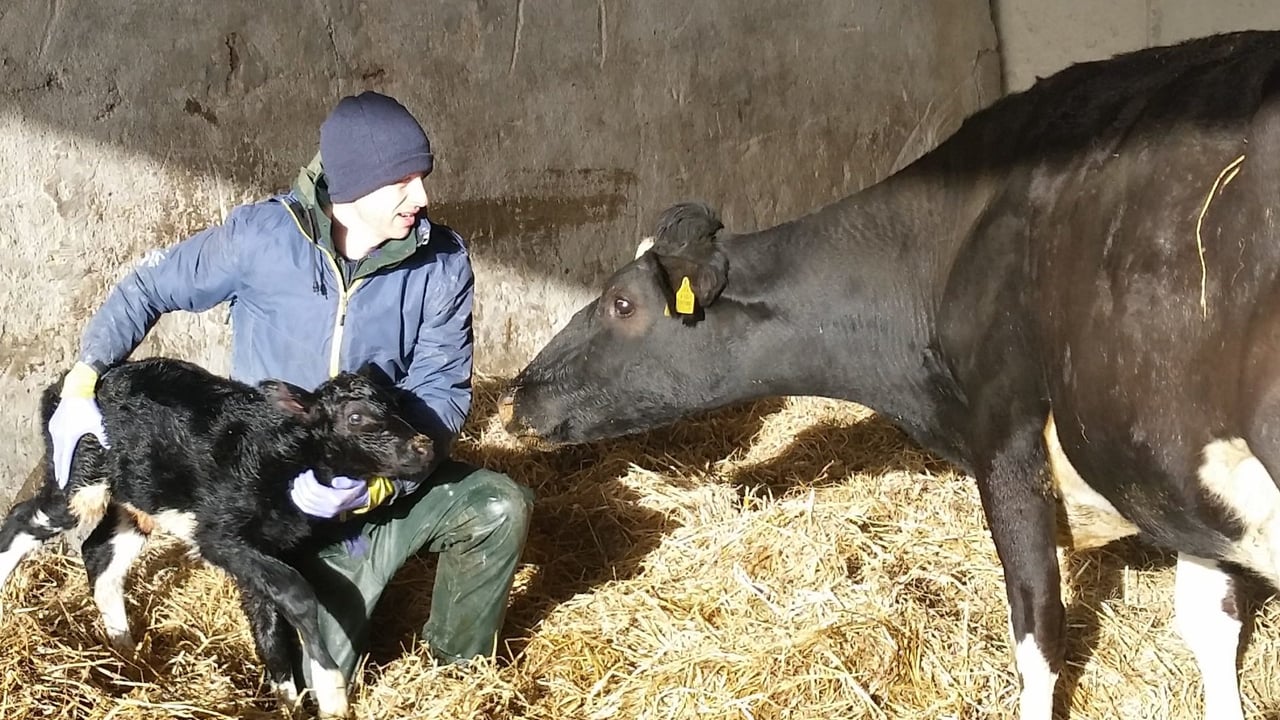 Denis Canniffe on the family dairy farm in Bandon, Co. Cork