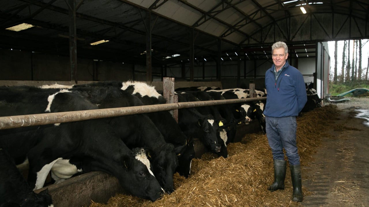 ICMSA: November milk price must be at least 37c/L