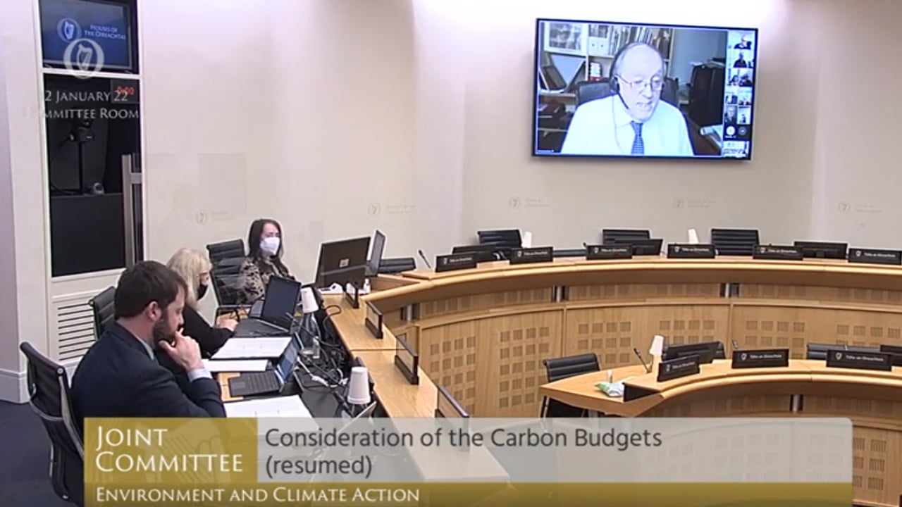Professor Sweeney addressing the Joint Oireachtas Committee
