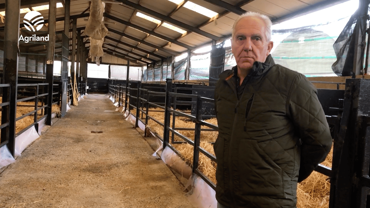 Wicklow Calf Company boss outlines challenges facing calf trade