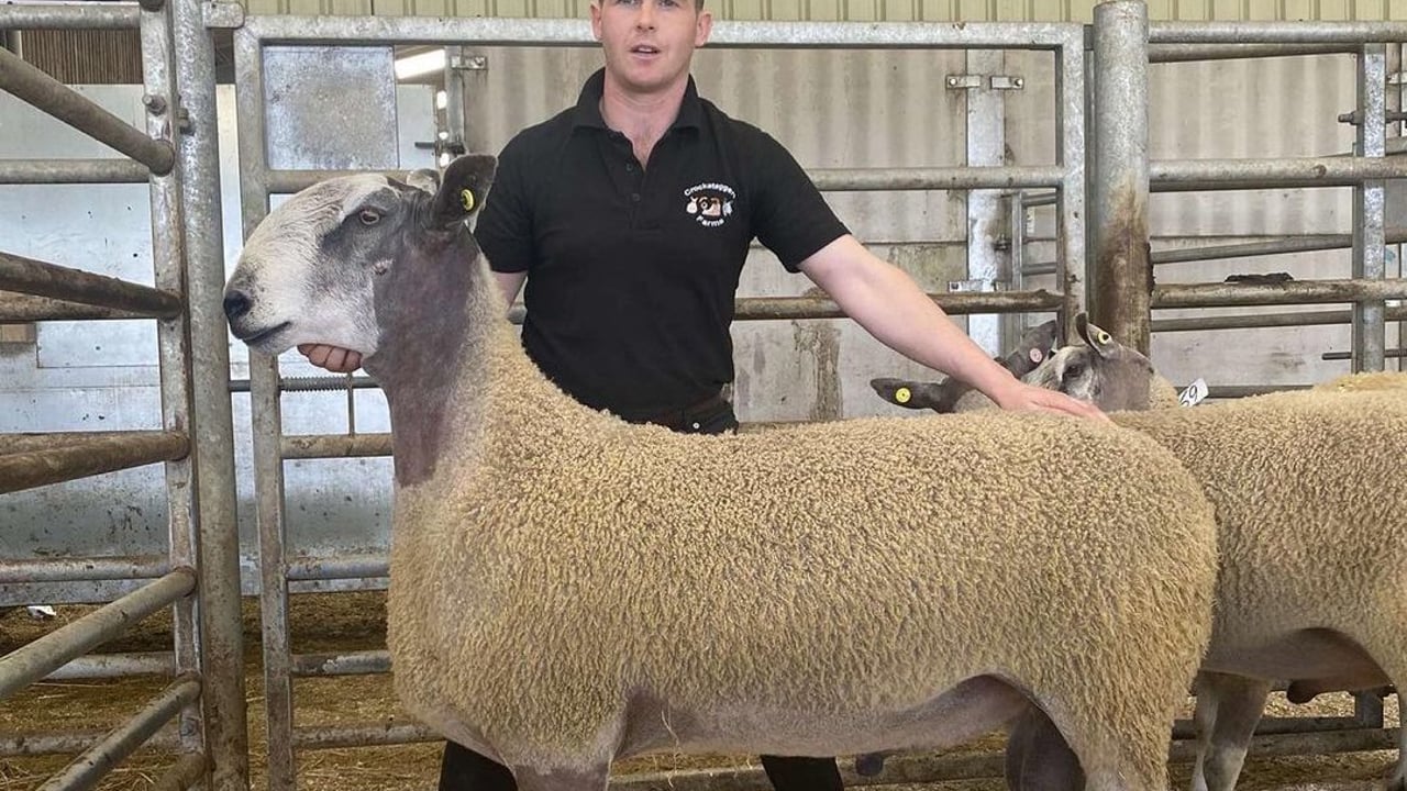 Eoin Kelly