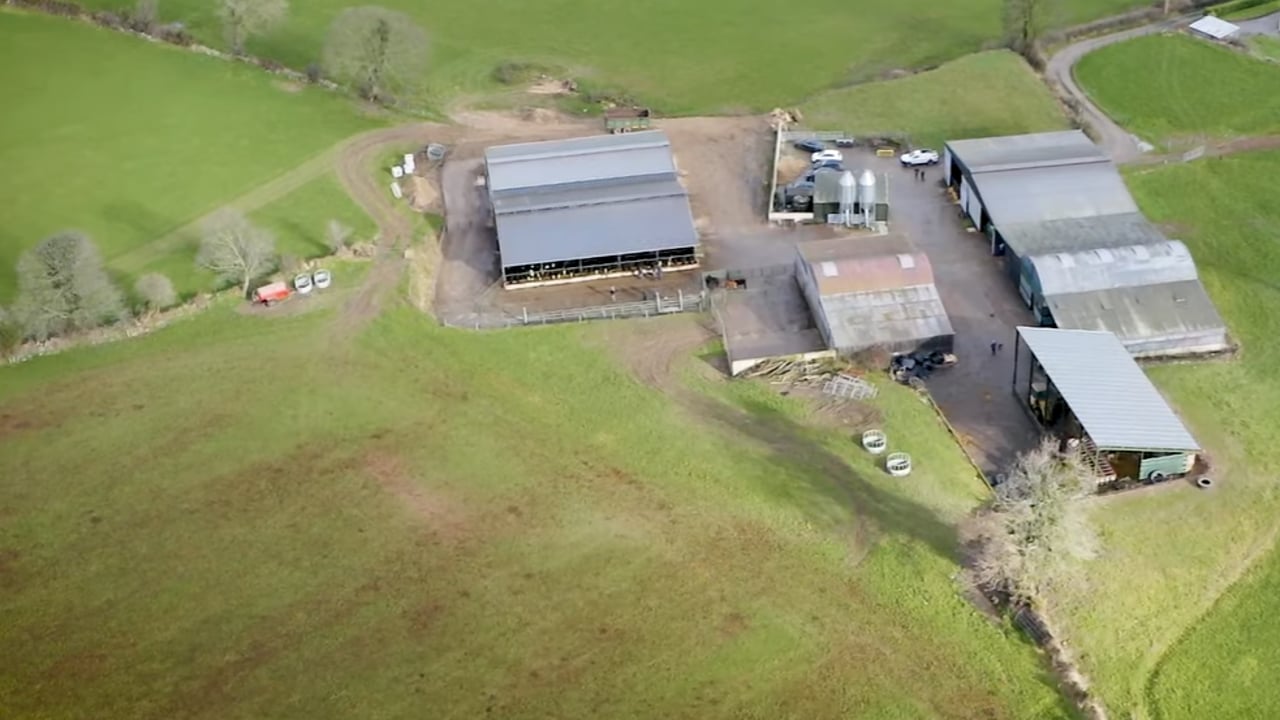 Video: See inside the ABP demo beef farm in Co. Carlow
