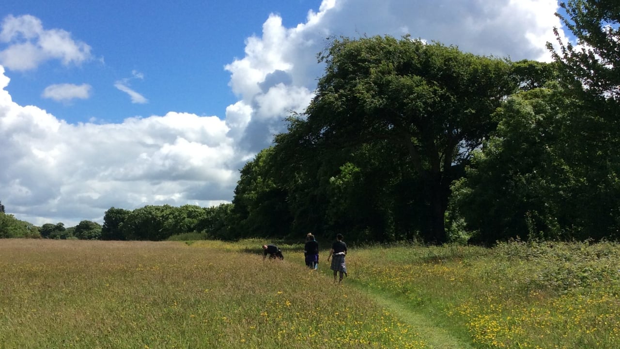 GMIT: 'Vision for Biodiversity' plan to support conservation