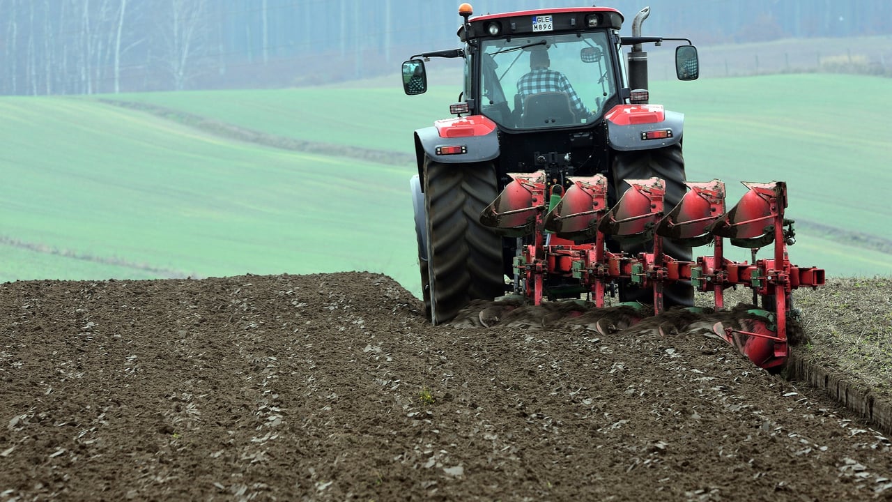 Carbon farming: Floor price needed to incentivise trading
