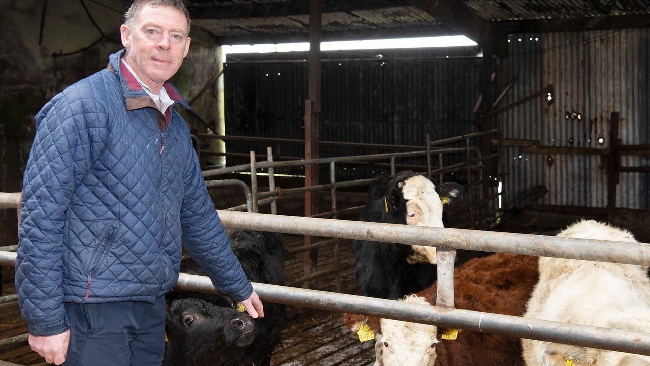 Denis O’Mahony at his friend’s farm near Kilbrittain village. Image source: Martin Walsh