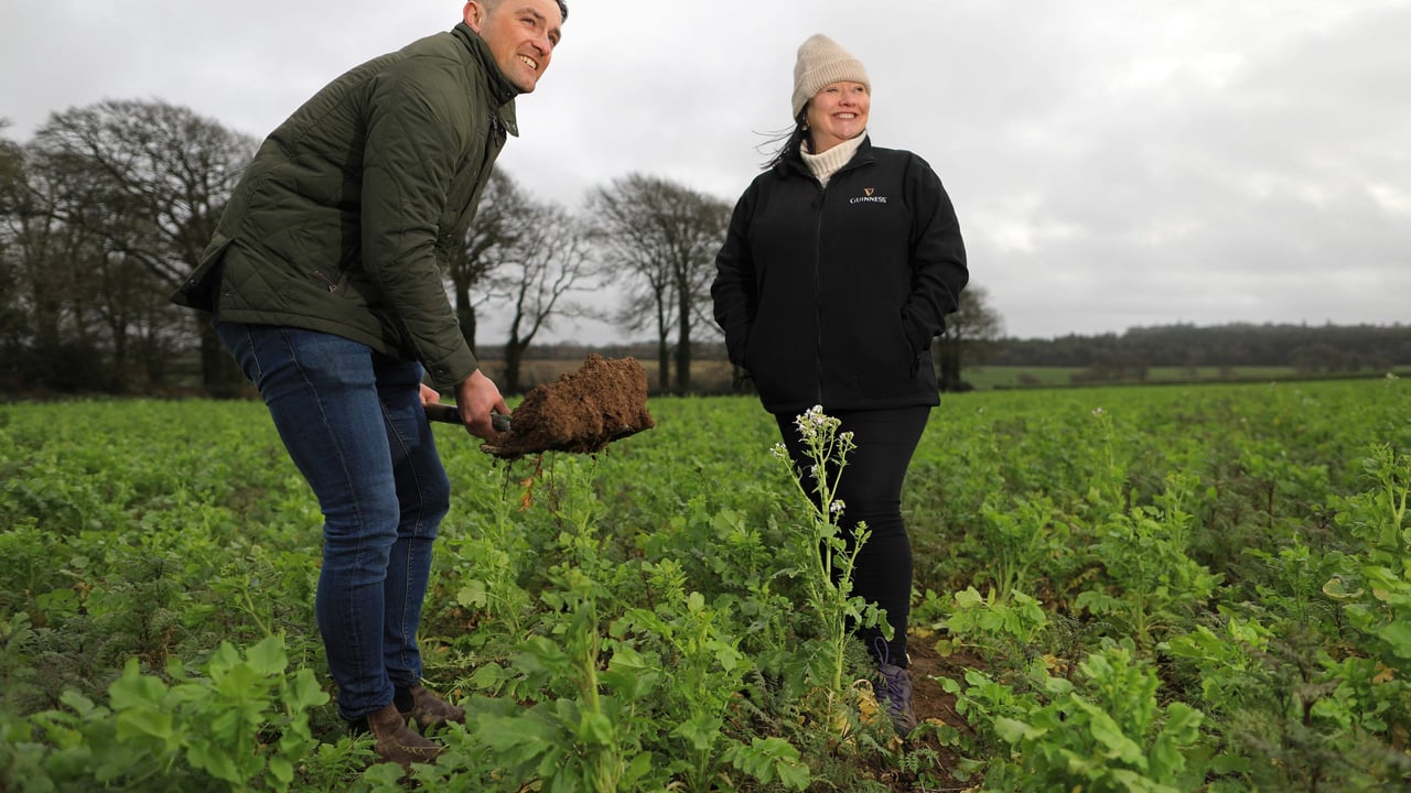Guinness to cut carbon footprint of a pint with pilot farm project