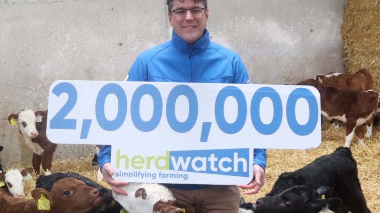 Image source: Herdwatch
