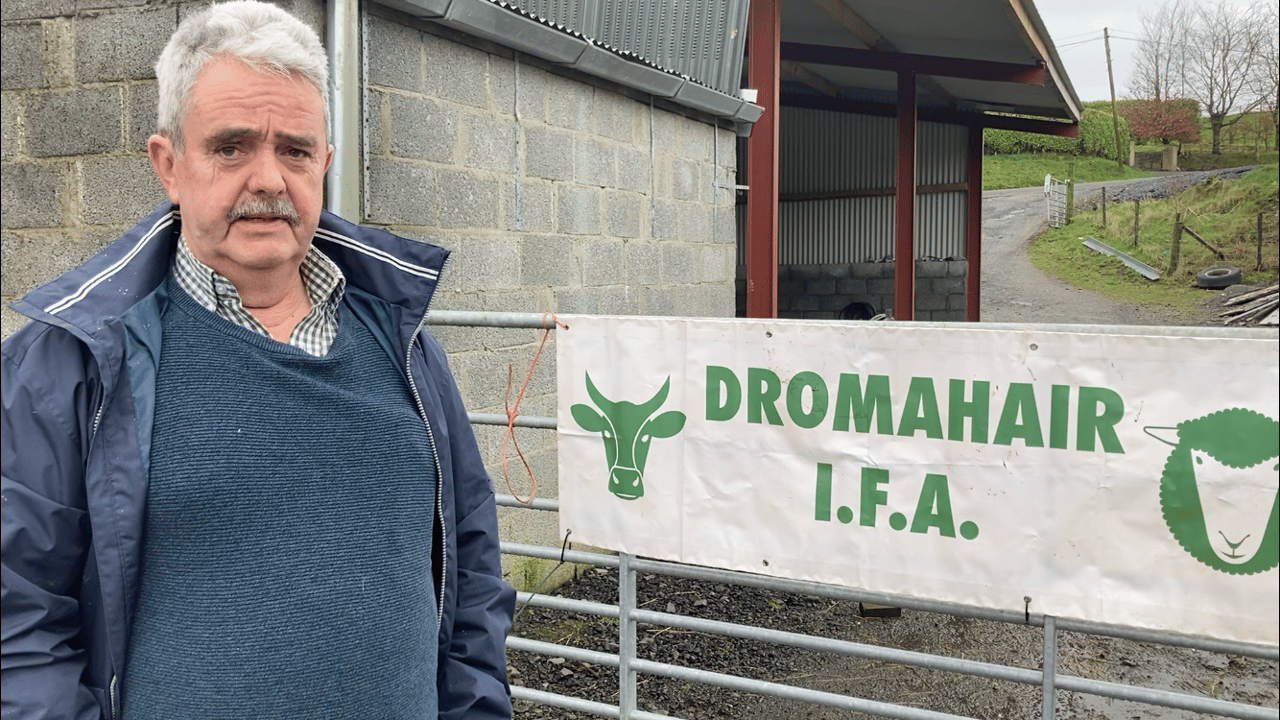 Comiskey considers running for IFA president