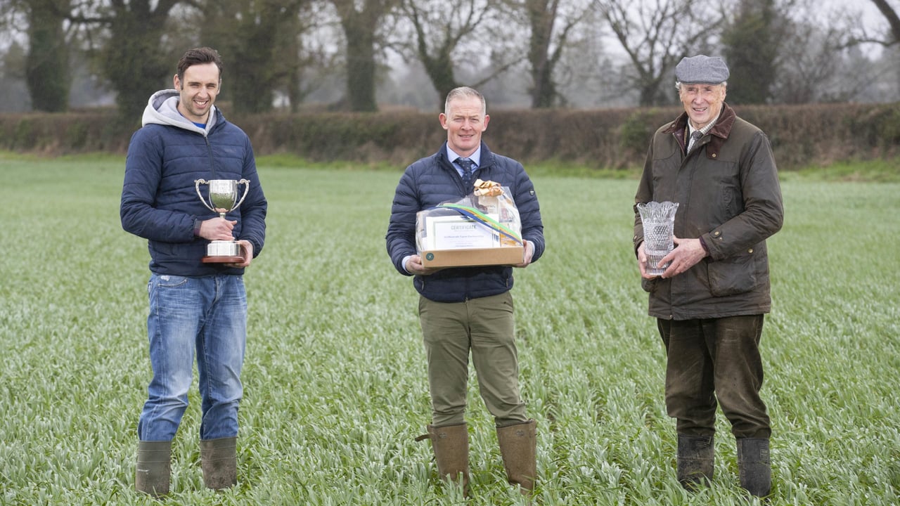 Glanbia Ireland agronomist Peter O'Grady presents the 2021 Grain Supplier of the Year and Food Grade Oats awards to Luke (L) and Matt Dempsey (R) on their farm at Celbridge, Co. Kildare