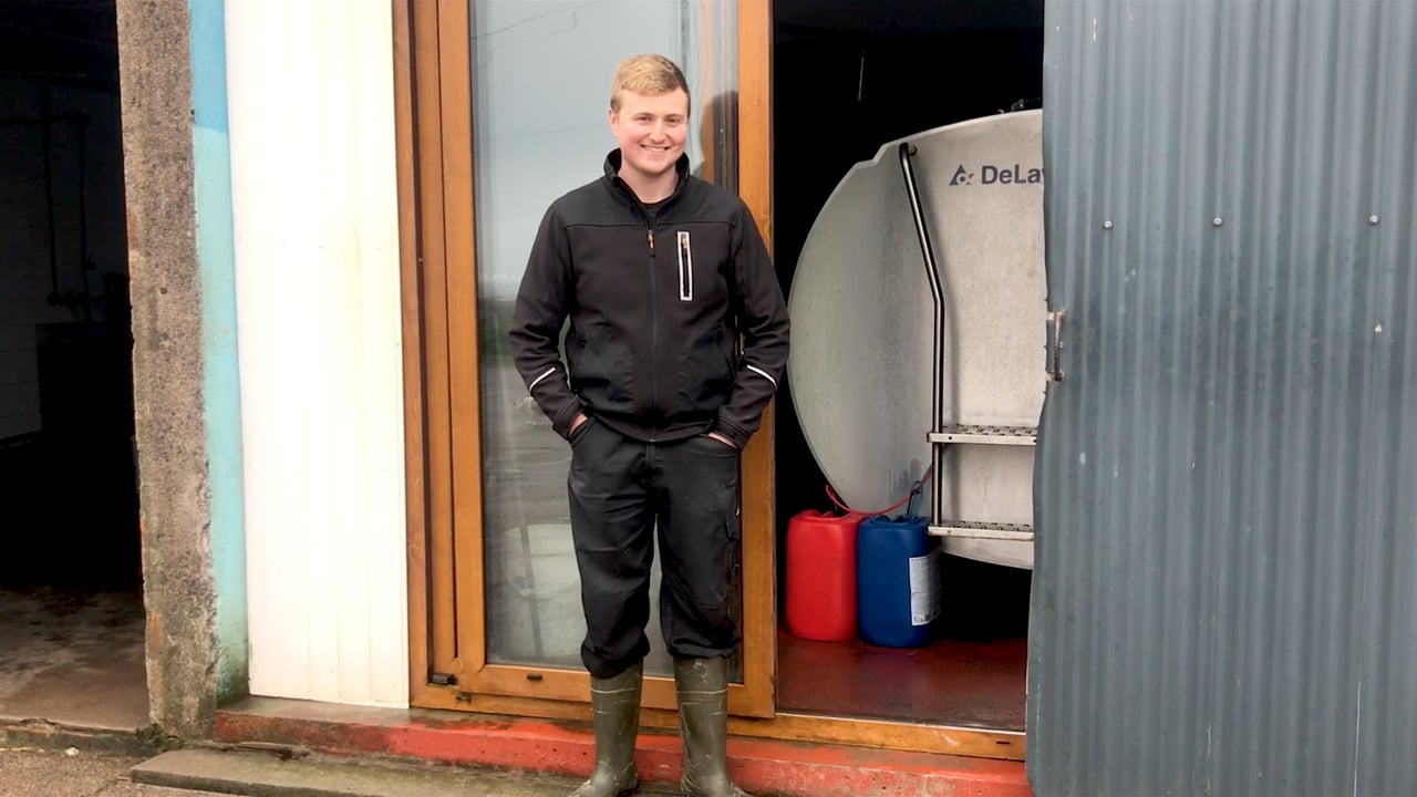 Dairy Focus: Farming, AI and YouTube in the Kingdom
