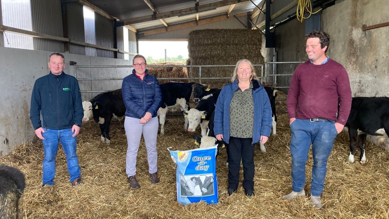 (L-R) Noel Fealey, Kellihers Feed and Agri Supplies Ltd.,
Christine Cummins, Bonanza Calf Nutrition,
Maria Sugrue, farmer and Rory Sugrue, farmer