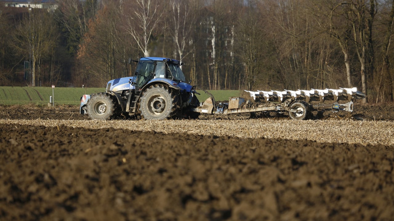Artificial intelligence can transform farming - MEP