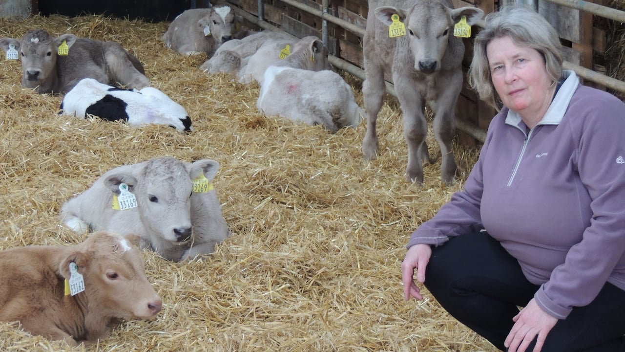 One of the booklet contributors, Ann Marie Foley. Others are pictured throughout this article