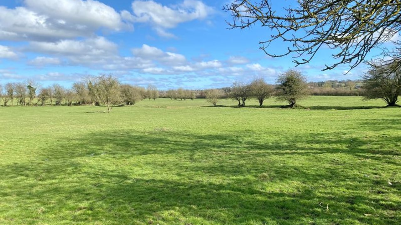 DAFM investigation underway into discovery of dead calves