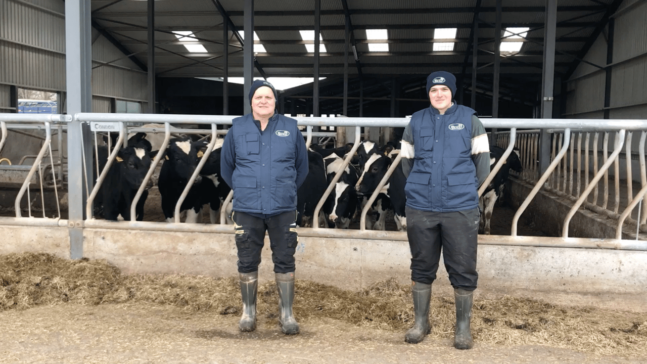 Dairy Focus: Improving fertility and milk solids through EBI