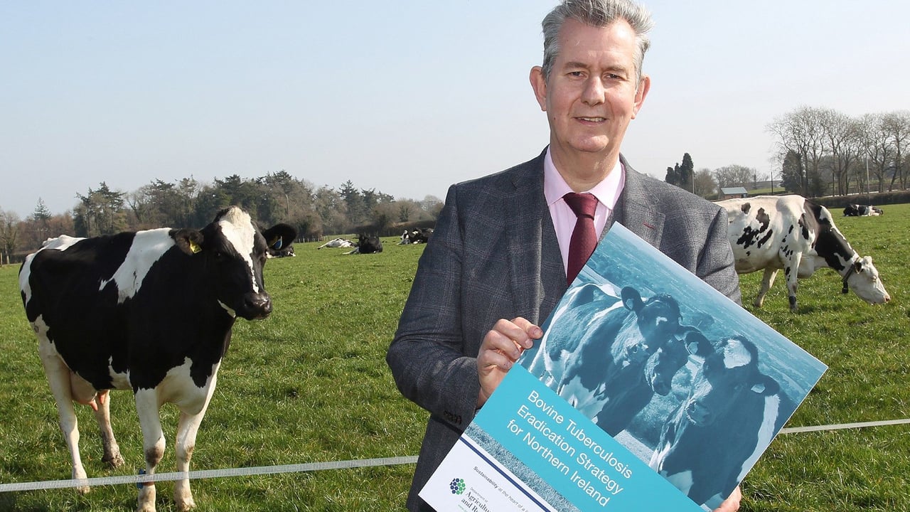 Minister Poots launches the bovine Tuberculosis Eradication Strategy for Northern Ireland