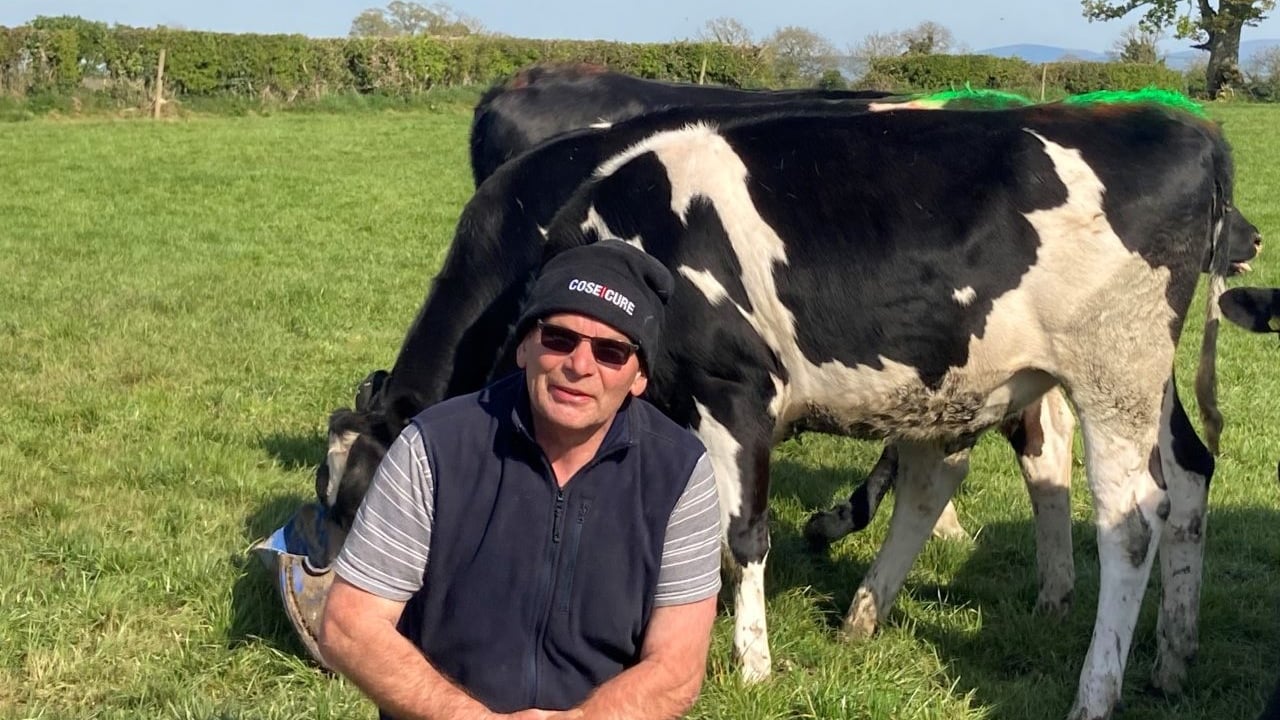 Kildare dairy farmer investigates herd fertility issues