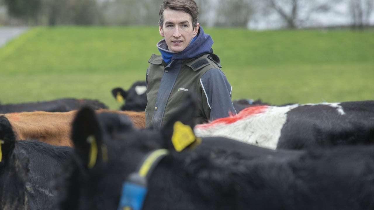 New entrant to dairy embracing farm technology