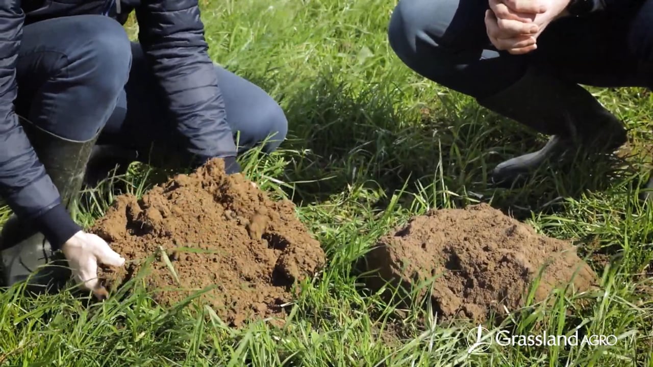 Soil structure and its impact on your herd's fertility