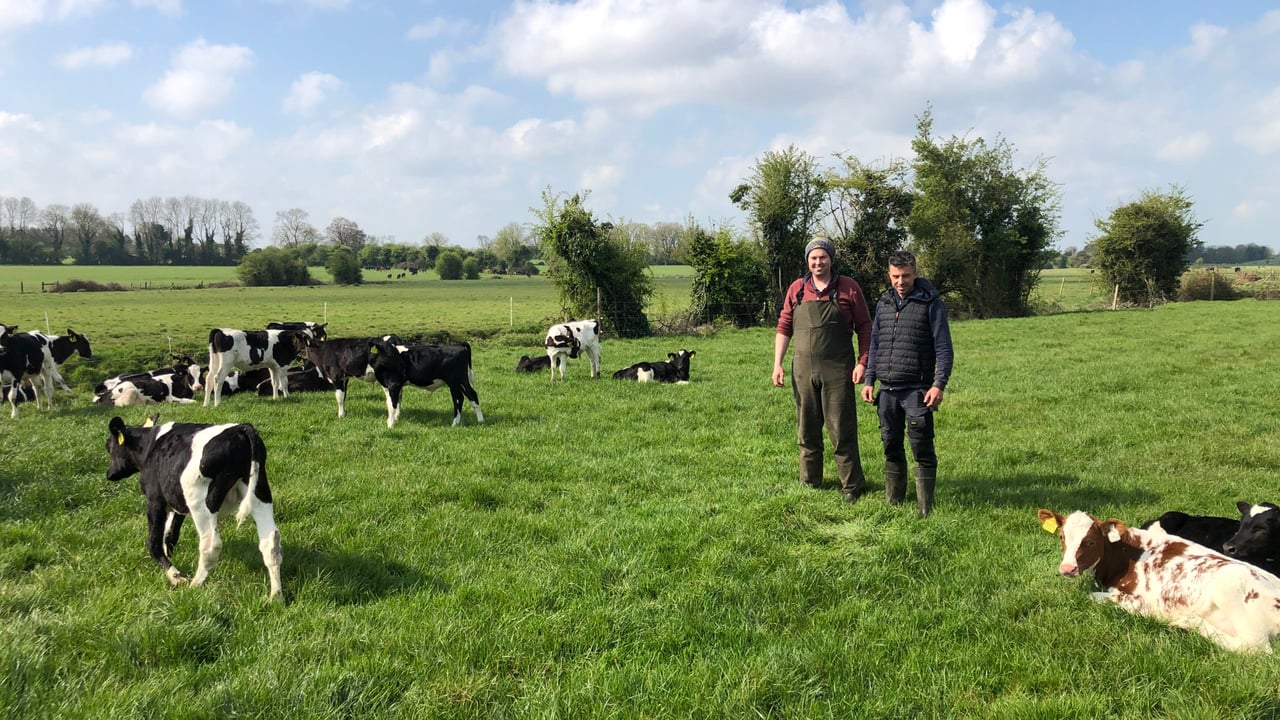 Beef Focus: New entrant beef farmers growing their midlands farm