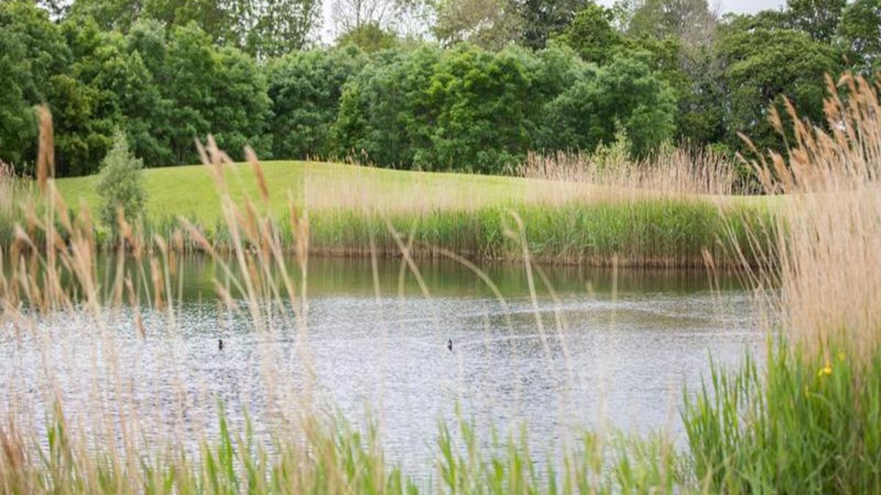 Ireland taken to European court for water and biodiversity failings