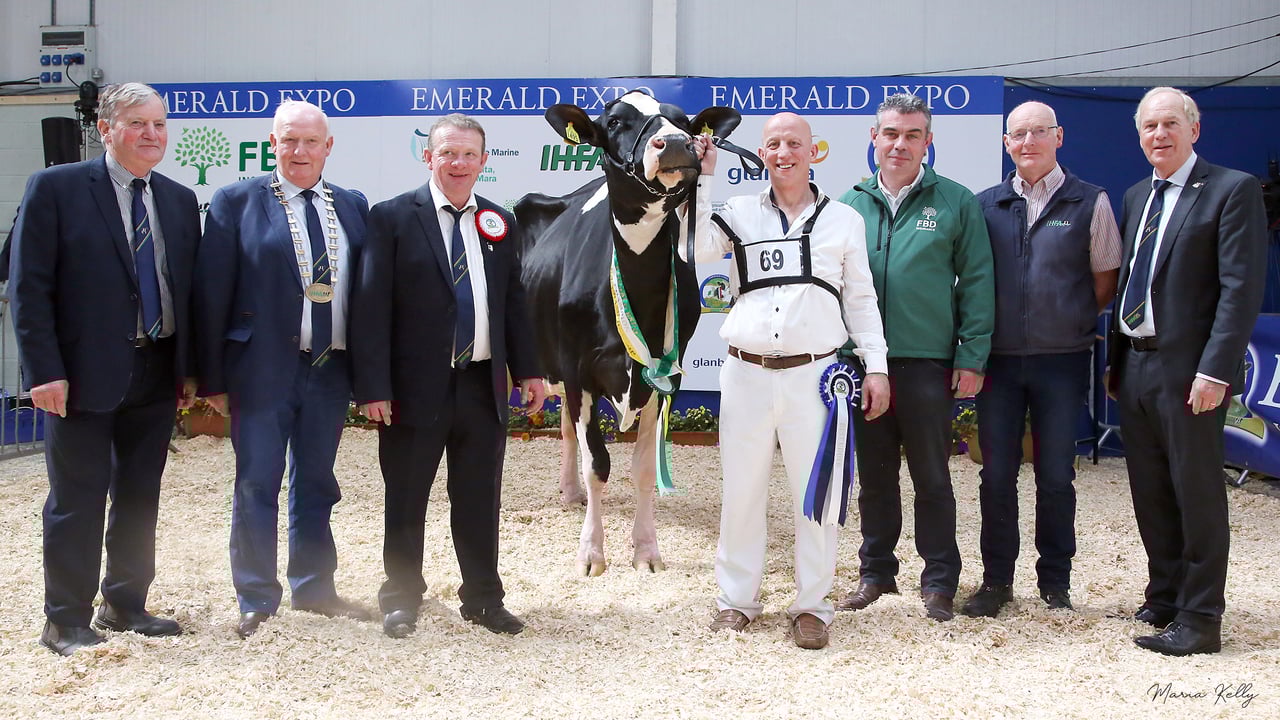 Baldonnel herd shines once again at Emerald Expo