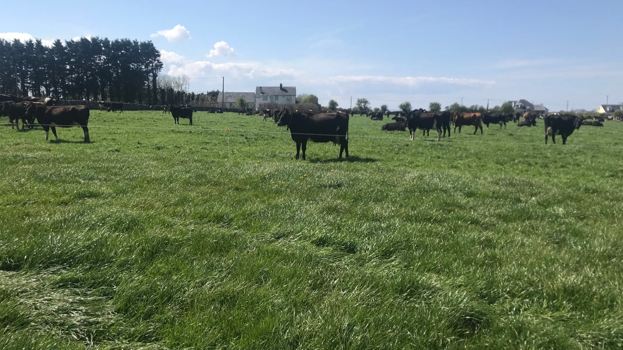 Attracting and retaining people on dairy farms