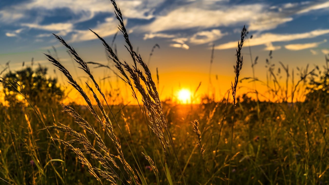 UN: Ukraine grain export deal could be signed next week