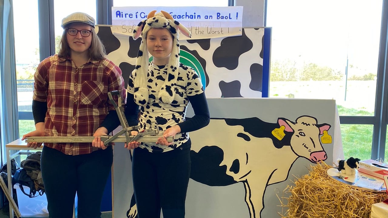Calving jack safety device in Student Enterprise Award finals