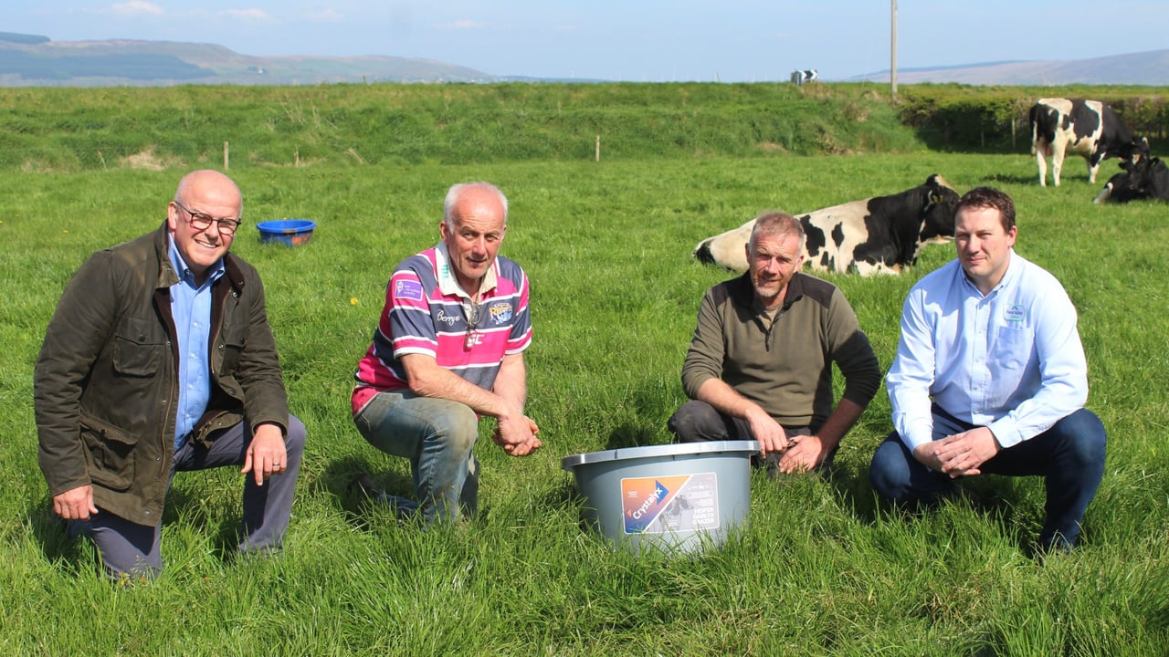 David Morgan, Robert Craig, Thomas Craig, Keith Nesbitt