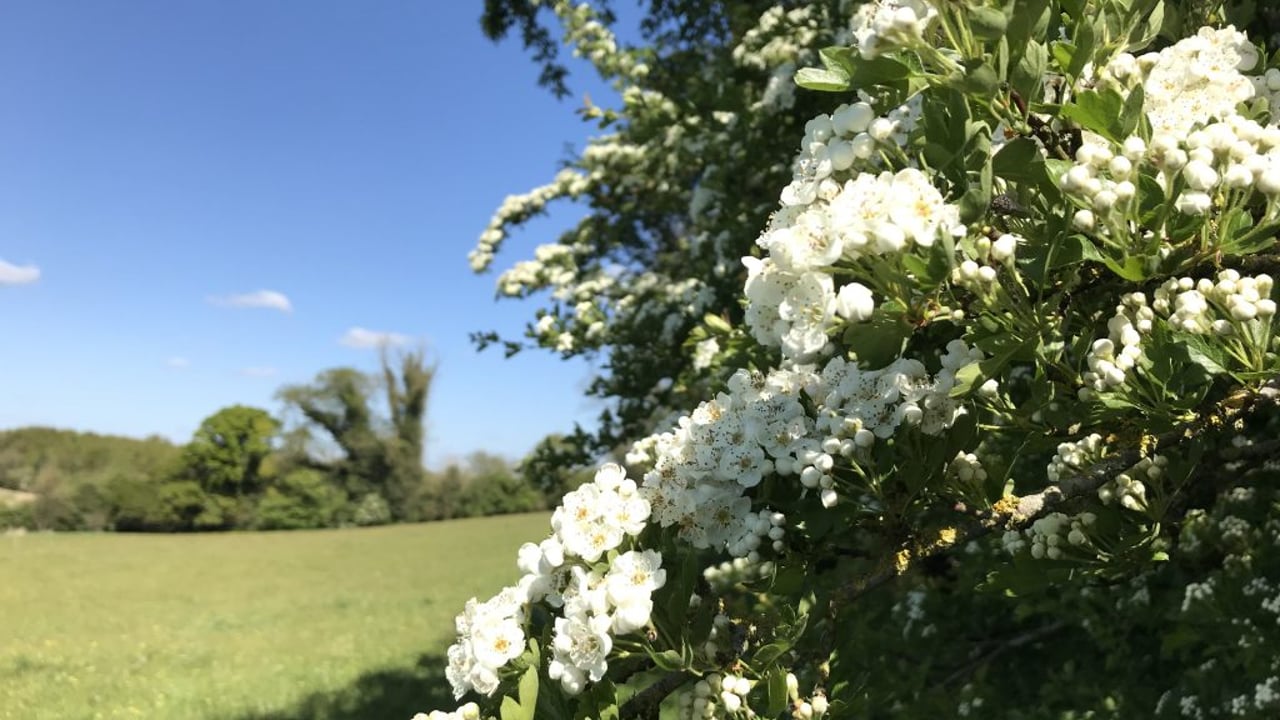 Deadline approaching for Farming with Nature Transition Scheme
