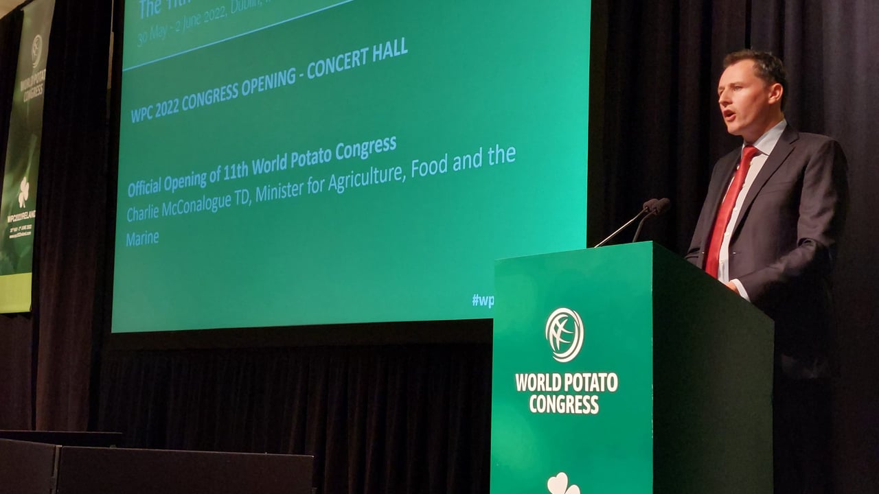 McConalogue highlights scope to expand Ireland’s seed potato sector