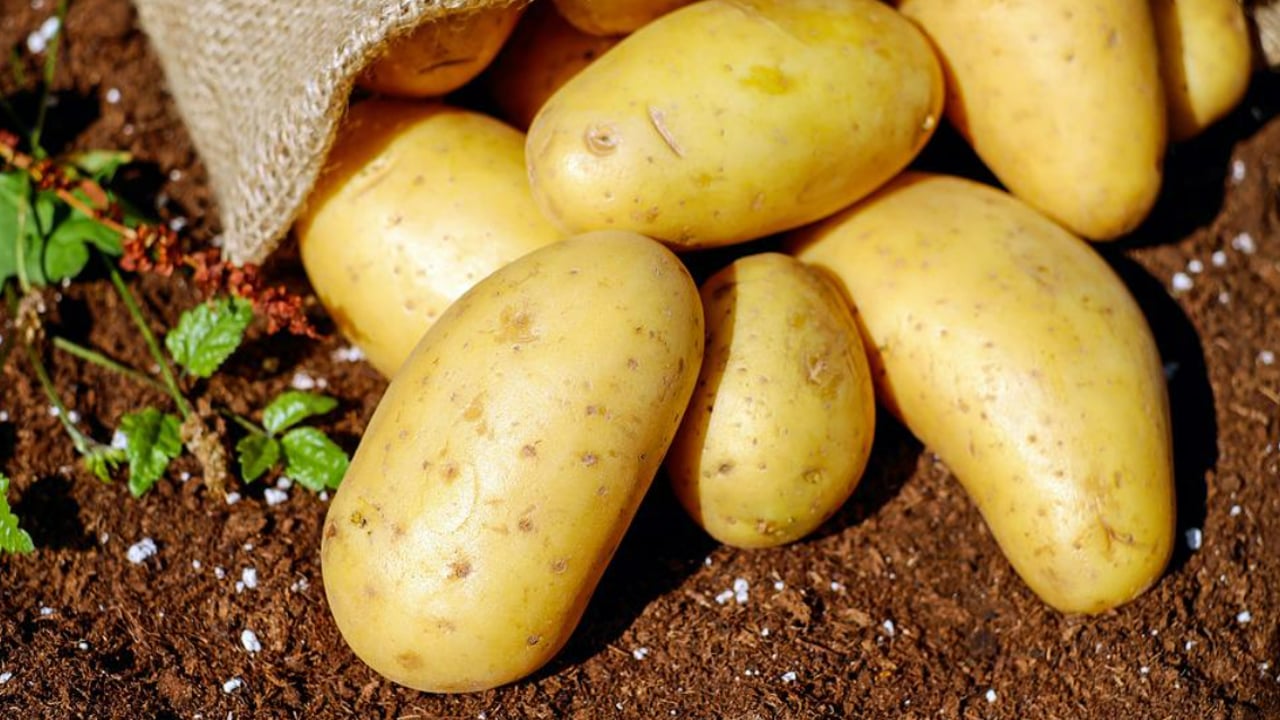 Eurostat: 23% price increase for potatoes