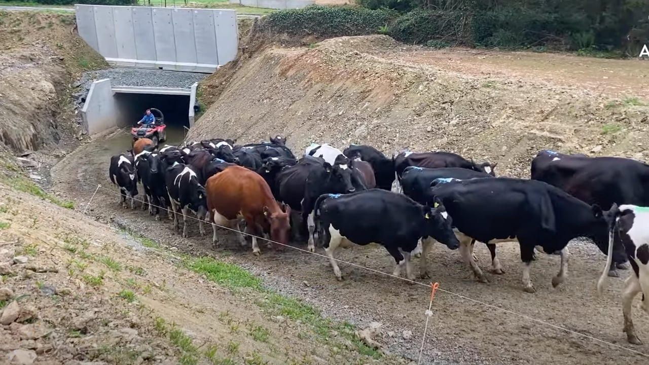 Infrastructure Focus: Opening up safe and easy access to 170ac with an underpass in Co. Cork