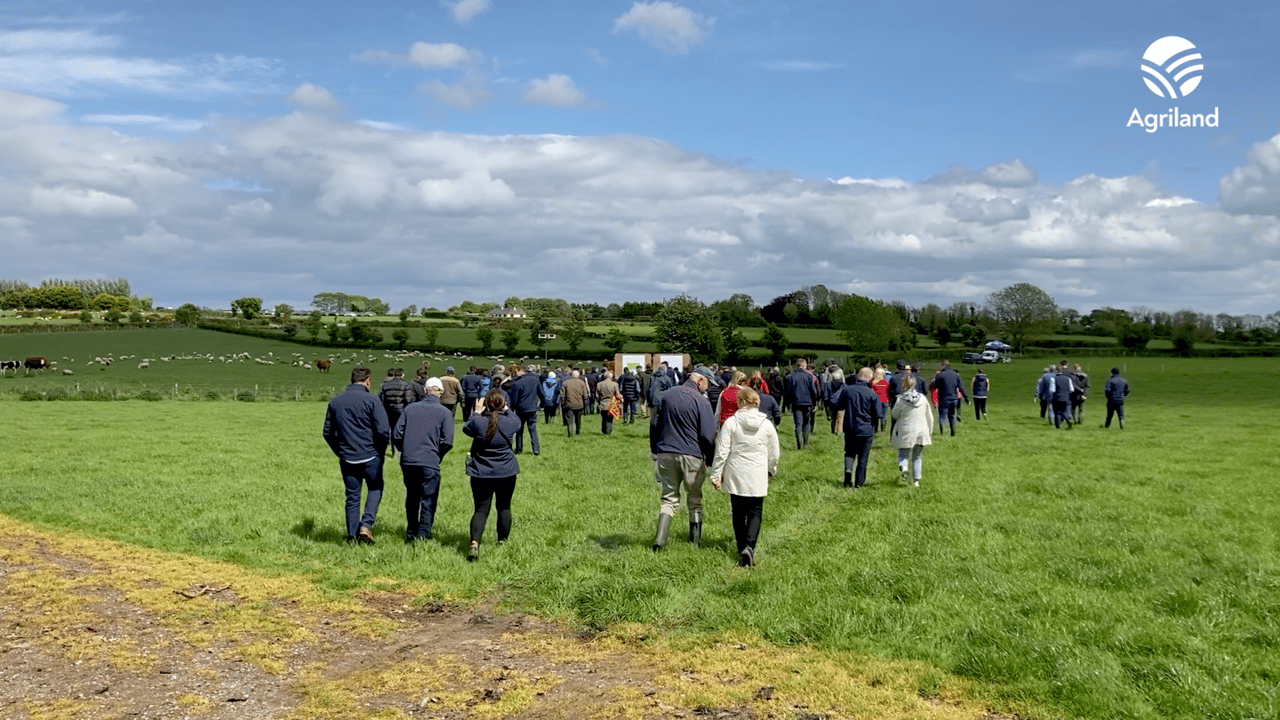 IGA sheep conference and farm walk, Thursday May 19