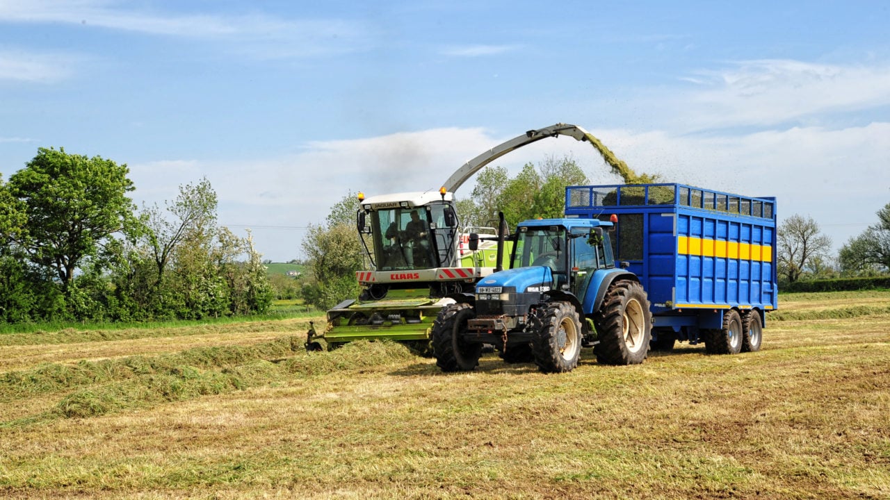 15% of farms need to make up fodder deficit - survey