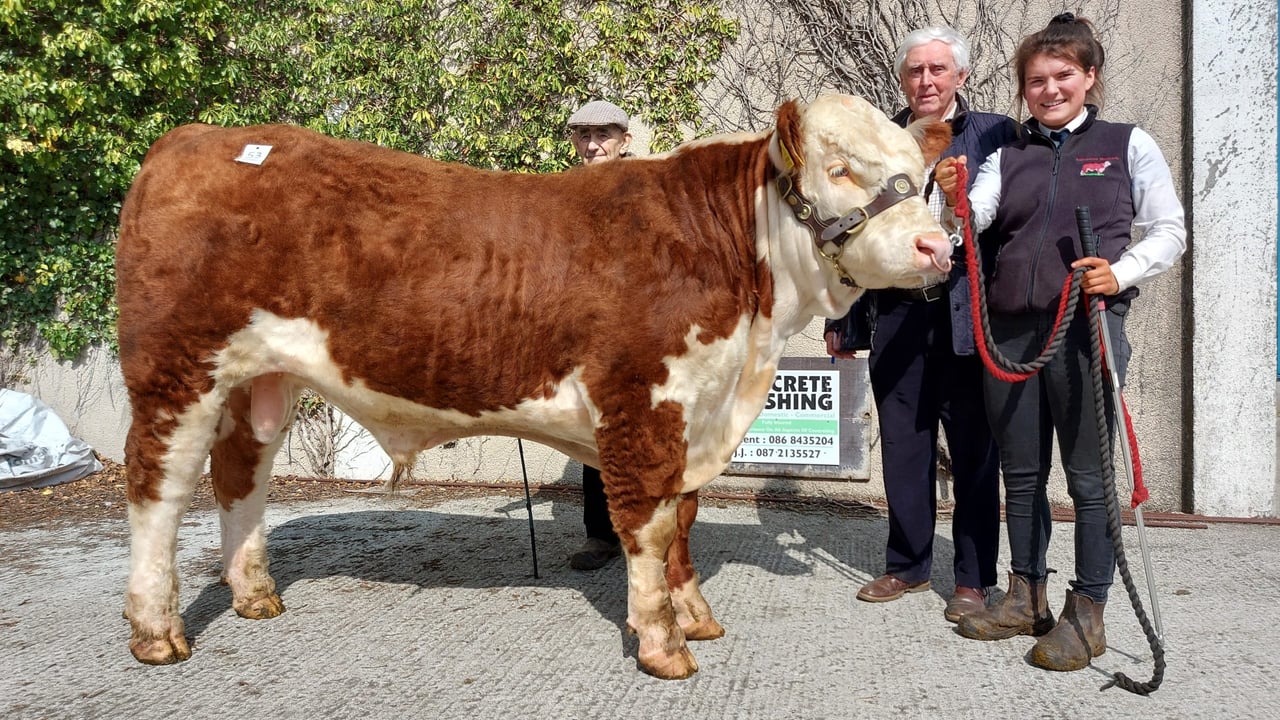 Ardmulchan Sydney sold for €3,000 at the Nenagh sale. Pictured are breeders Phil and Catherine Smyth (right) and buyer Val Ledwith (left)