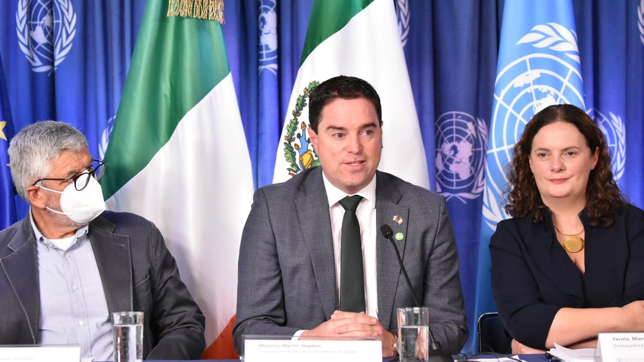 Image: FAO Mexico Twitter