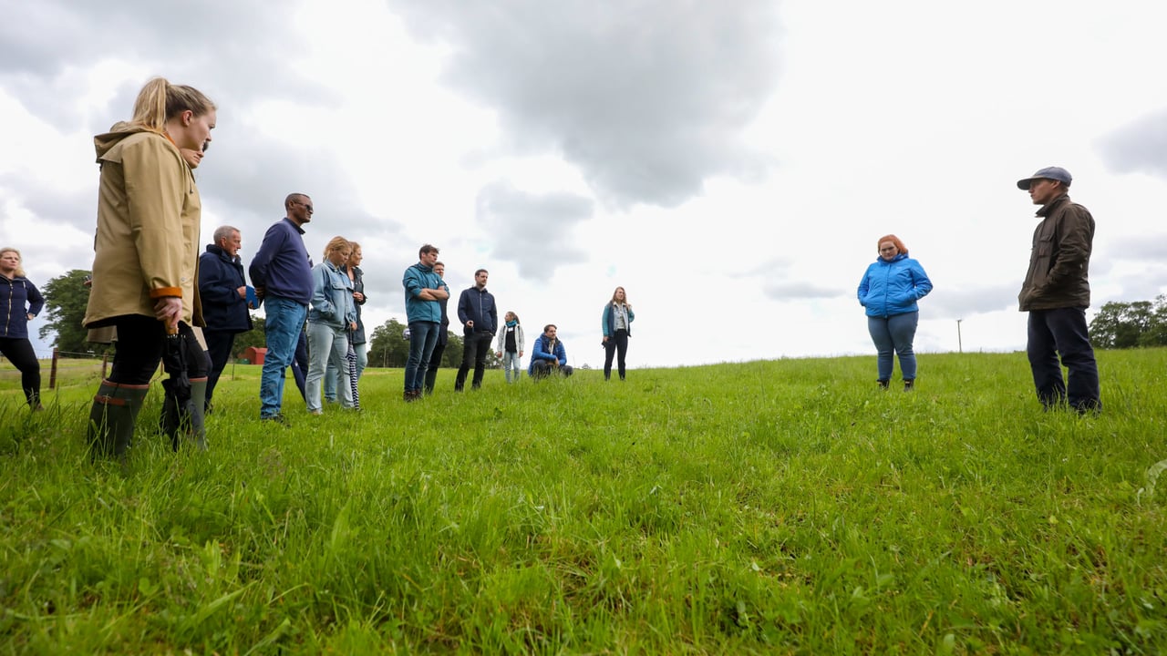 At the Devenish lands in Dowth, Co. Meath