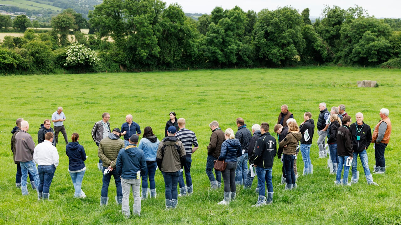 A group of German dairy farmers visited a farm in  Co. Tipperary in association with Germinal Ireland. Image source: Germinal