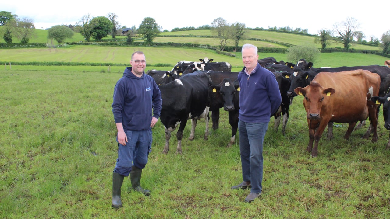 Maximising milk from grass in south Tyrone