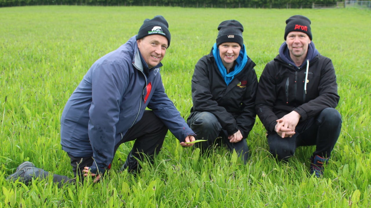 Opinion: ARCZero project - beacon of hope for agriculture in NI