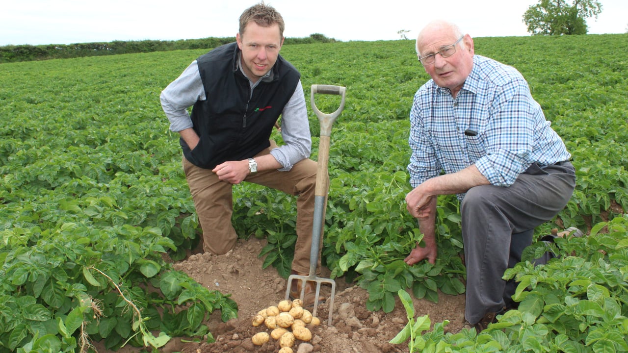 North Down grower Hugh Chambers (right) discussing the prospect for early season potatoes with Wilson's Country agronomist Stuart Meredith