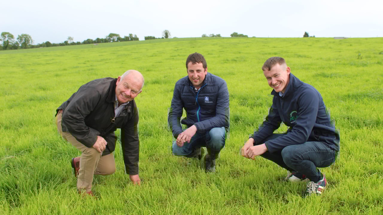 Managing grass growth has been very challenging