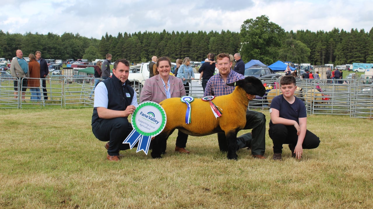 The Sheep Interbreed Champion at Armagh Show 2022