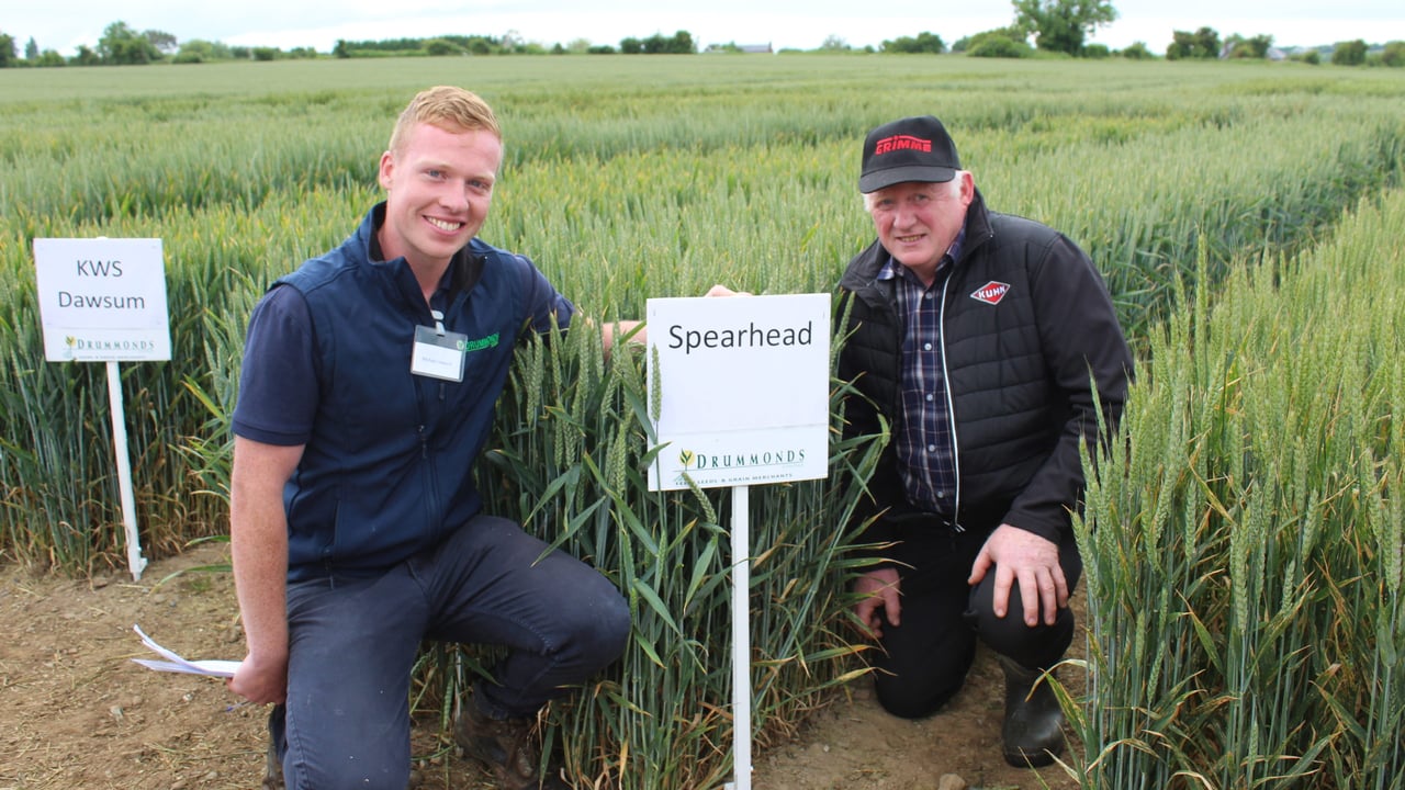Discussing the 2022 wheat trials at Termonfeckin l to r: Drummonds' agronomist Michael Howard and Tom Duffy from Navan in Co Meath