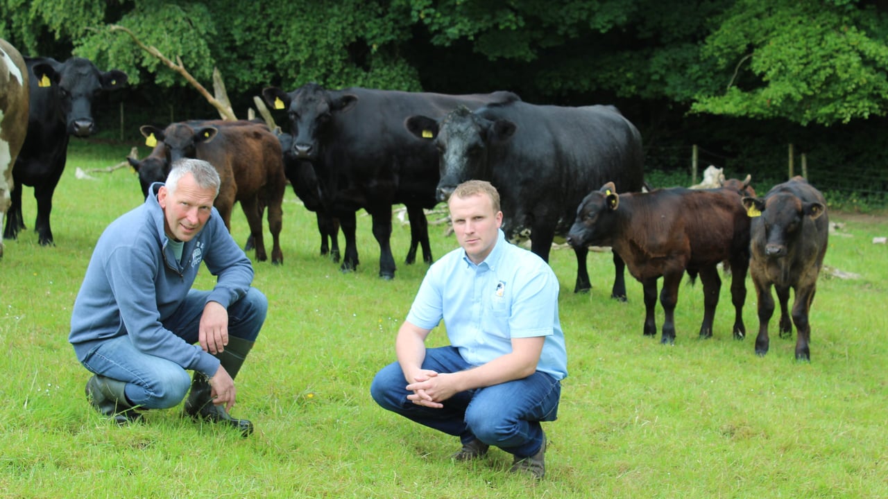 Discussing the benefits of synchronisation L-R: Michael Griffith, from Saintfield House Estate in Co. Down and James Compston, from AI Services (Northern Ireland) Ltd.